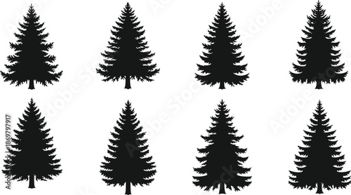 Pine tree silhouettes collection illustration isolated on white background, evergreen forest conifer shapes for nature, winter, landscape design use