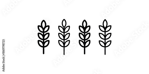 Four wheat ears for harvest agriculture symbol or food and baking concept isolated
