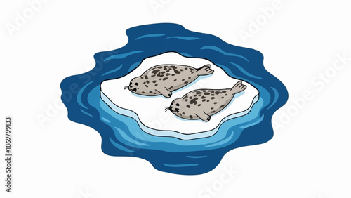 Two seals rest on a floating ice floe surrounded by blue water
