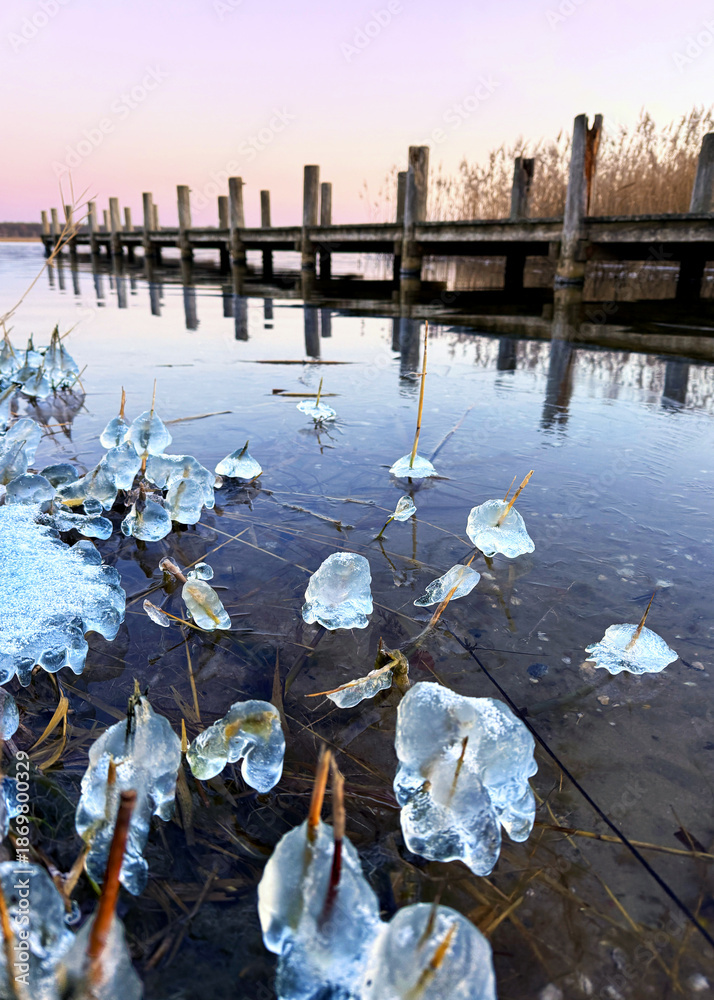 Fototapeta premium frozen ice on the reed at the winter beach
