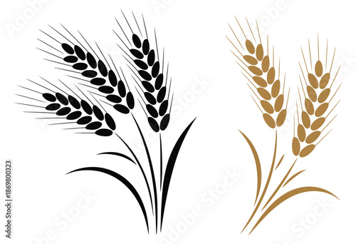Ears of wheat icon, hand-drawn vector illustration depicting agriculture, farming, grain, bread, and healthy eating concepts for food packaging, labels, and professional design
