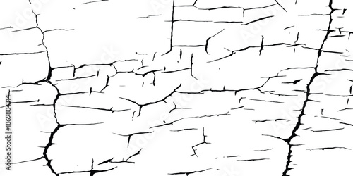 Detailed black and white distressed texture background featuring intricate paint cracks. A detailed close-up shot of a surface with a severe black and white crack pattern. 