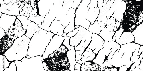 Detailed black and white distressed texture background featuring intricate paint cracks. A detailed close-up shot of a surface with a severe black and white crack pattern. 