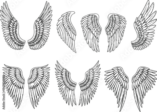Hand drawn angel wings illustration set with detailed feathered wings tattoo style religious and fantasy design vector