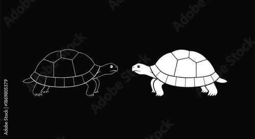 Turtle symmetry illustration, black and white contrast, stylized shell design, duality pose, minimal art, mirrored animals, balance concept, facing turtles