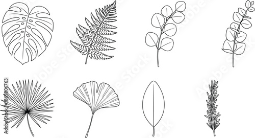 Hand drawn botanical leaf collection set featuring monstera fern eucalyptus ginkgo and palm leaves in black and white cad drawing flat vector illustration
