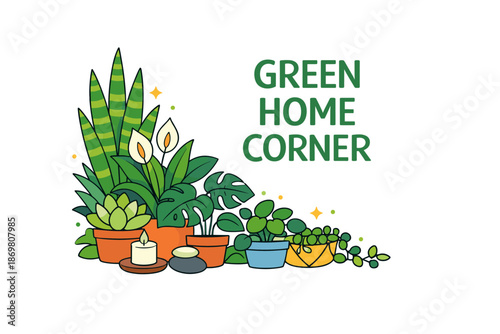 Indoor plant arrangement with succulents and greenery