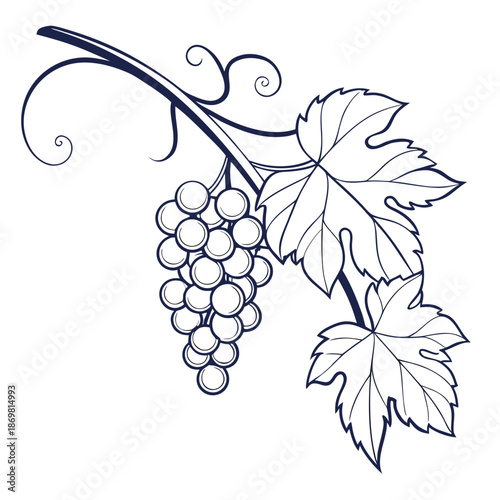 Elegant grape cluster with leaves