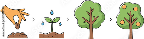 Plant growth stages from seed to fruit tree in flat vector illustration for gardening, education, and nature concepts