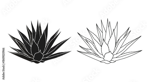 Illustration of two agave plants one solid black and one with gradients
