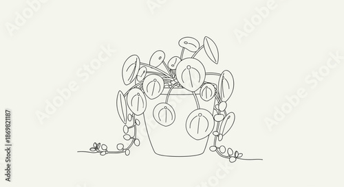 Delicate line drawing of a pilea peperomioides houseplant in a pot, featuring round pancake-shaped leaves in a minimalist style.