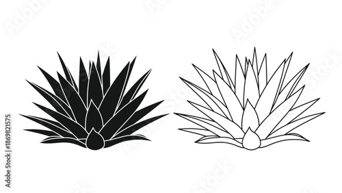 Two agave plant illustrations one solid black and one white outline