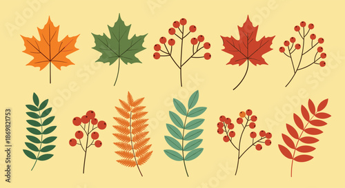 Colorful collection of various autumn leaves and red berry branches on a warm yellow background for seasonal fall themes.