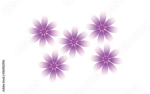 Five purple flowers with bright centers arranged artistically on white background