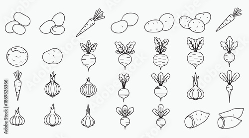 Root Vegetable Garden Harvest - Potatoes, Carrots, and Onions Line Art Set