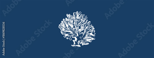 Tropical Sea Coral Vector Illustration – Marine Life Underwater Reef Design Element