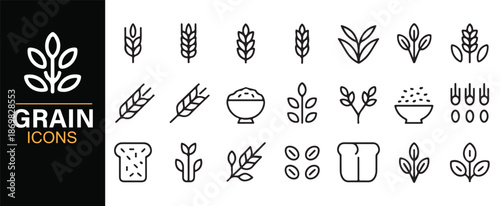 Wheat rice and grain outline icons for farming and nutrition designs