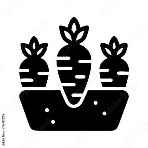 Three carrots growing in a garden bed representing fresh produce and cultivation