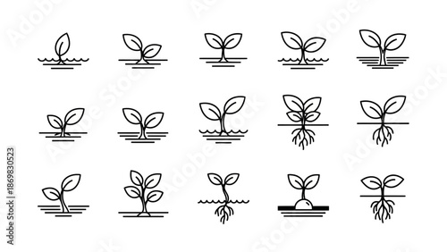 Illustration of plant growth stages from seed to mature plant in a simple black line style