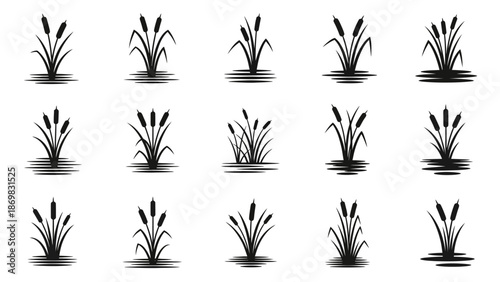 Collection of black and white cattail silhouettes in various poses on a white background, viewed from directly above