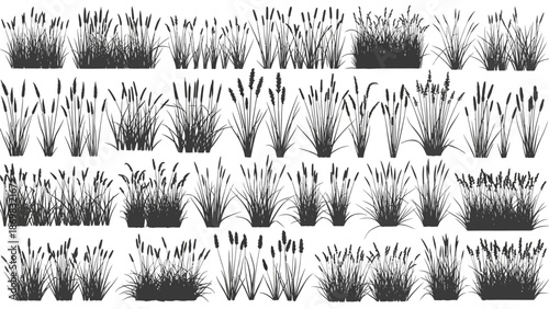 Various Grass Illustrations Arranged in Multiple Rows on a White Background