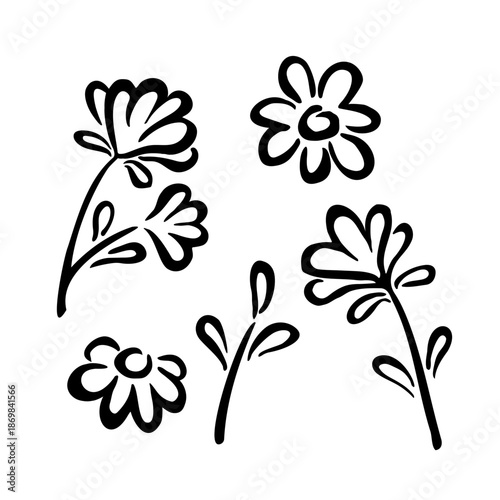 Vector floral elements. Flowers and leaves. Hand-drawn sketch with black brush. Abstract primitive botanical drawing isolated on white background.