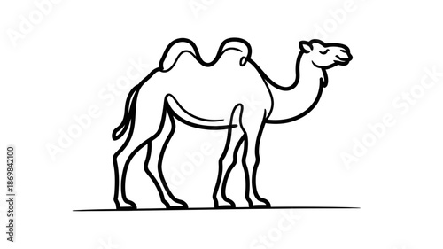 Elegant outline drawing of a majestic two-humped camel standing proudly