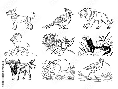 coloring page line art the animal bird and flower black vector bundle