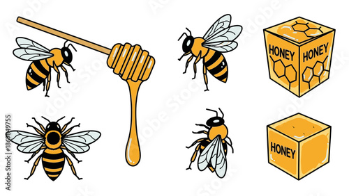 Illustration of bees and honey products including honeycomb boxes and honey dipper.
