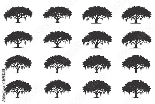 Grid of sixteen silhouette illustrations of large, mature trees with lush canopies and hanging moss.