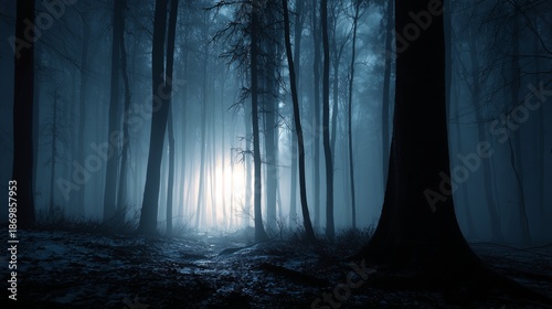 A hyperrealistic, deeply atmospheric wide-angle photograph of a dark and mysterious forest at night, shrouded in thick, eerie mist. 