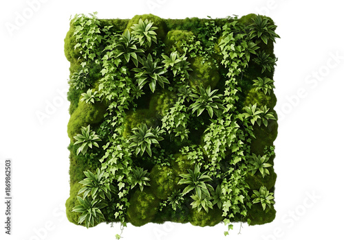 Vertical garden with lush green plants