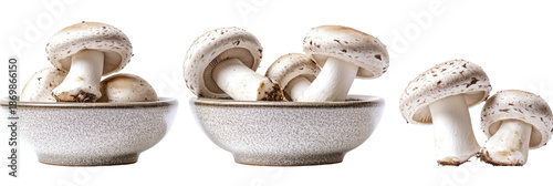 Three bowls of white mushrooms, isolated studio shot