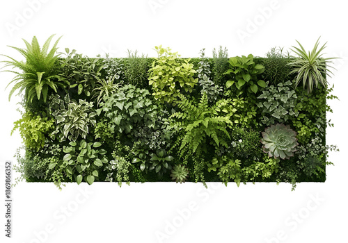 Lush vertical garden with diverse plant life