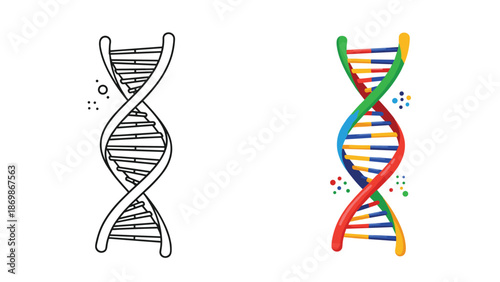 Detailed illustration of a DNA double helix structure shown in both a simple line drawing and a colorful abstract style.