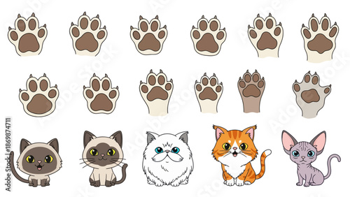Cat Paw Prints and Faces in Various Cartoon Styles