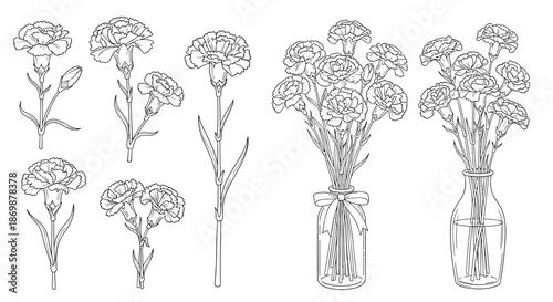 Set of detailed line art drawings of carnation flowers individually, in small groups, and arranged in glass bottles.