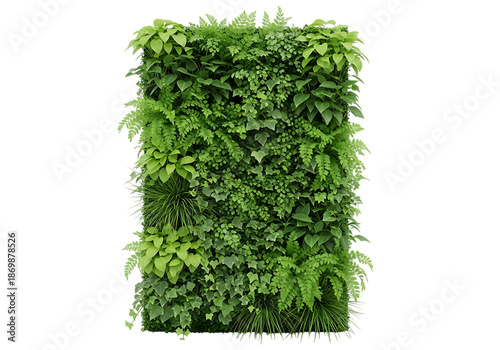 Lush green vertical garden