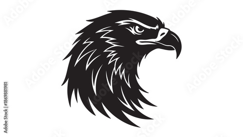 A black and white illustration of an eagle's head with feathers and a sharp beak on a white background