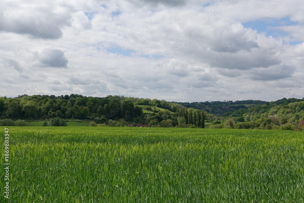 Fototapeta premium Lush green field and valley in the countryside