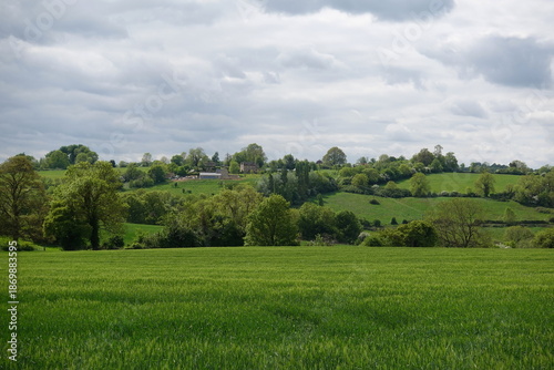 Lush green field and valley in the countryside