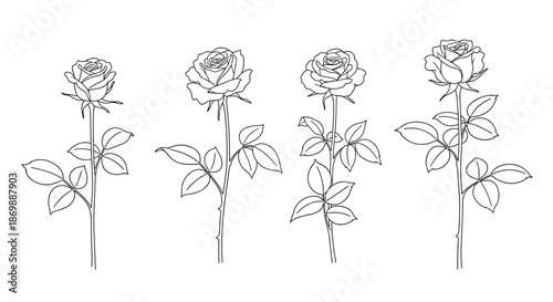 Set of four rose line art drawings with stems and leaves showing different angles of bloom in black ink for coloring.