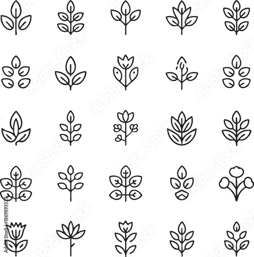 Collection of black and white leaf and plant botanical