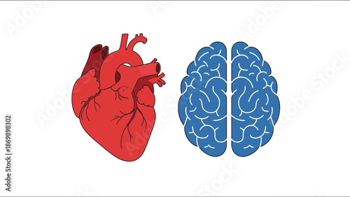 Conceptual graphic of the human heart and brain, highlighting the duality of emotion and logic, intuition and intellect, central to understanding human behavior, thought, and psychological balance