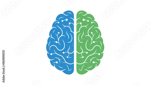 Stylized graphic of a human brain, featuring blue and green hemispheres with intricate neural pathways, representing intelligence, logical thought, and creative cognition