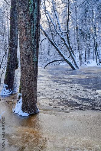 Flooding ice covered river in very cold winter day