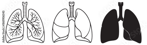 Line art and silhouette lungs set featuring human respiratory organs in outline and solid styles for medical and health education