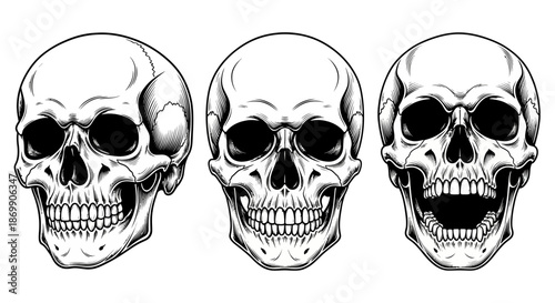 Three human skulls in different angles