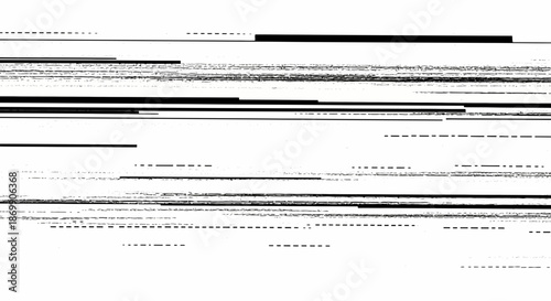 A human skeleton standing upright on isolated