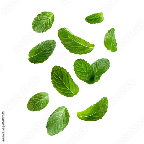 Group of Fresh Mint Leaves in Motion green herb isolated on a transparent background